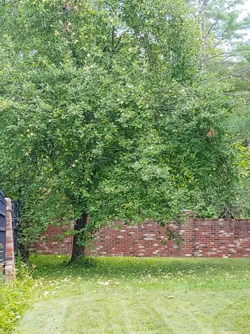 1220 Lakeview Drive China ME 04358