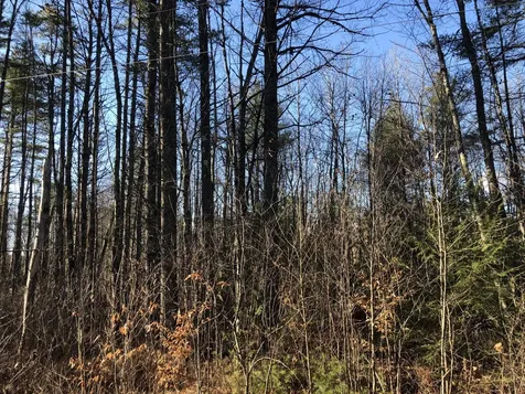00 Intervale Drive Fryeburg ME 04037