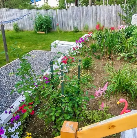 6 Callahan Road Wilton ME 04294