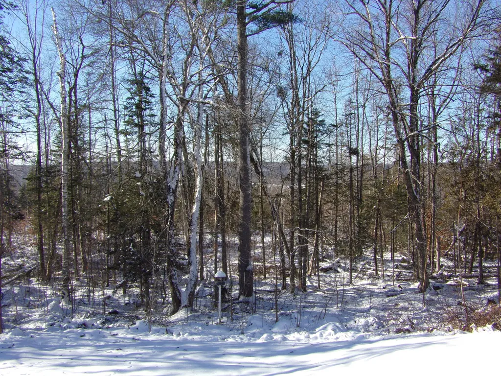 402 Church Street Brownville ME 04414
