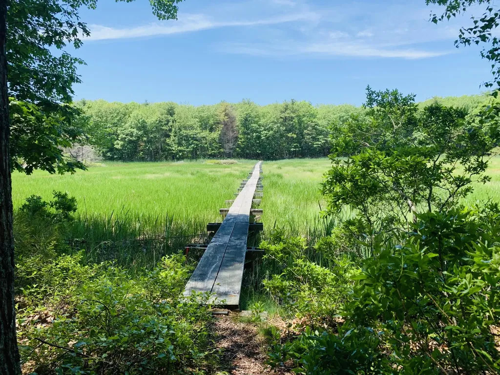 19 Chester Lane Georgetown ME 04548