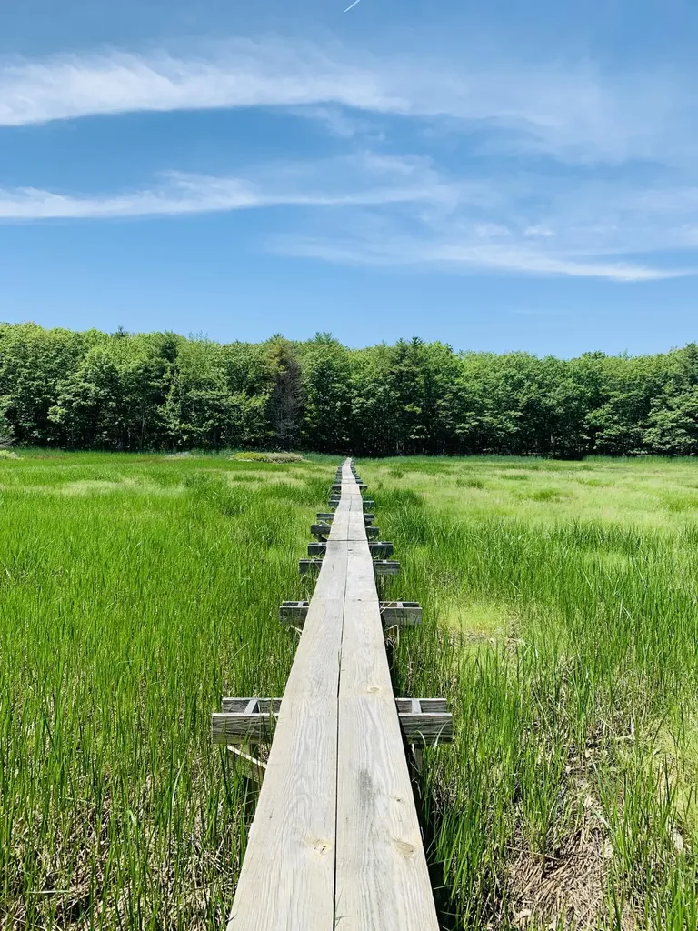 19 Chester Lane Georgetown ME 04548