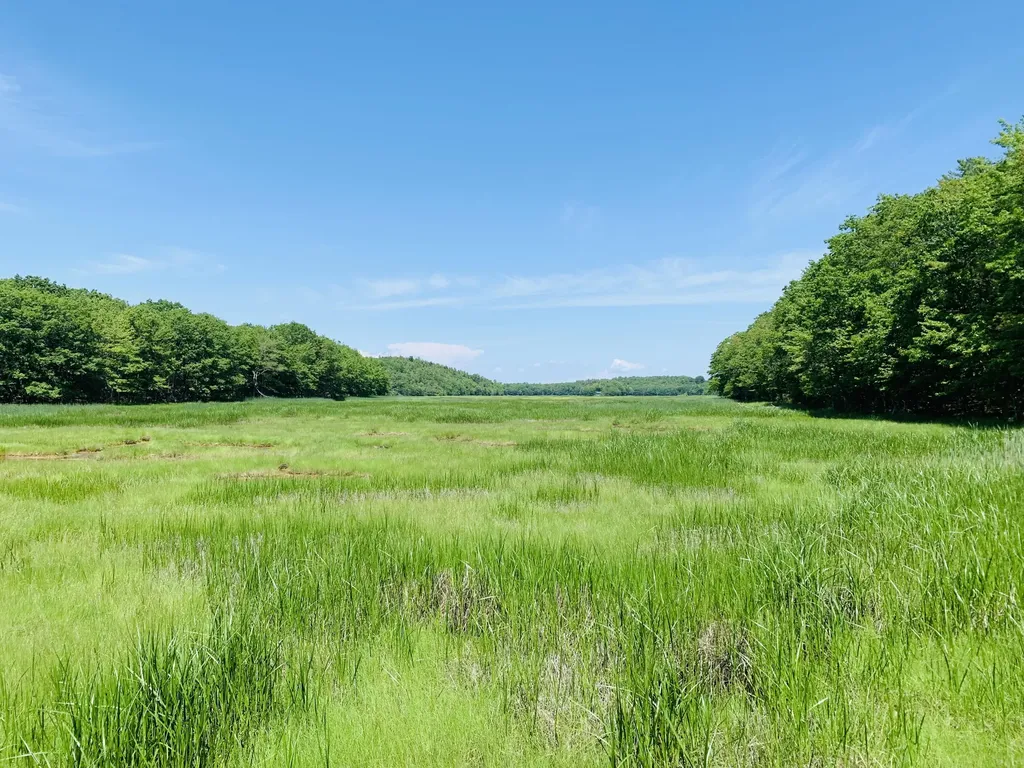 19 Chester Lane Georgetown ME 04548