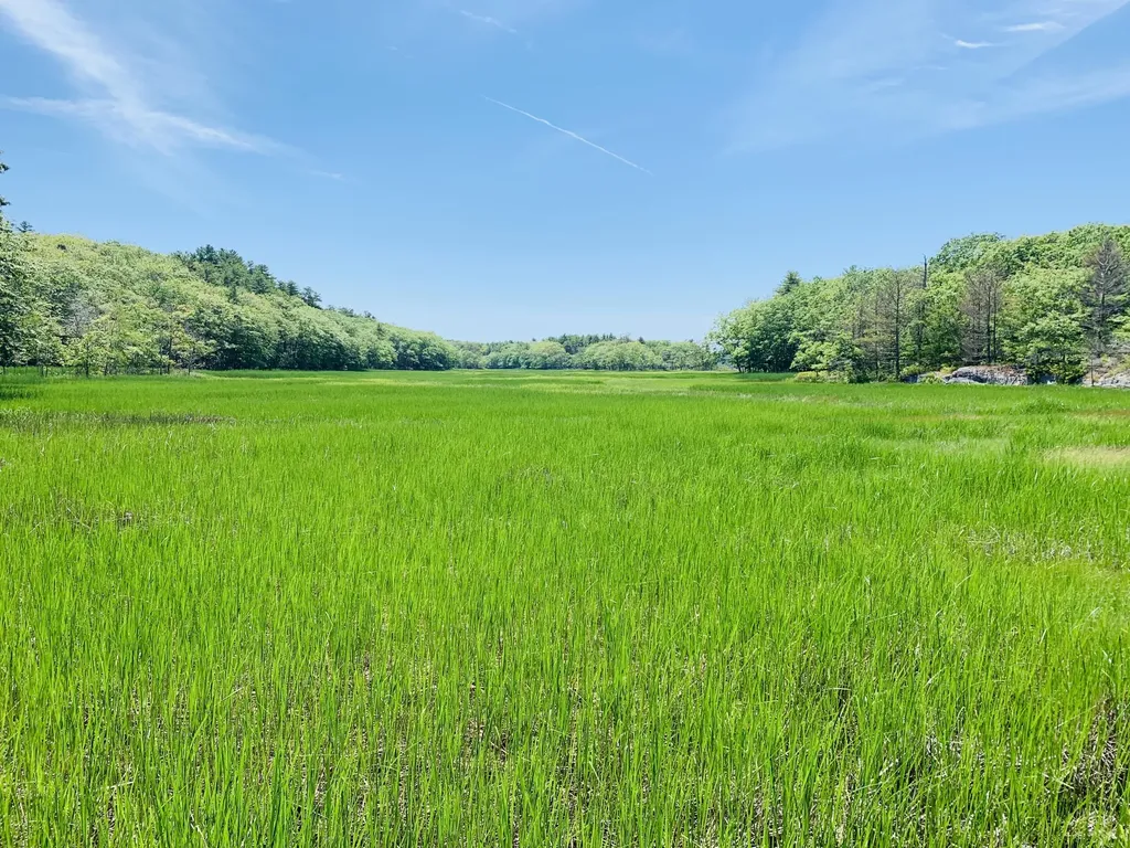 19 Chester Lane Georgetown ME 04548