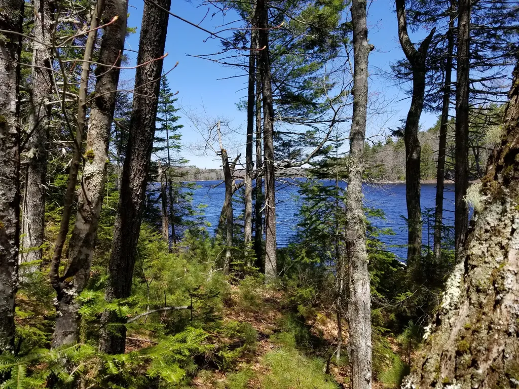 160 Southern Bay Road Penobscot ME 04476
