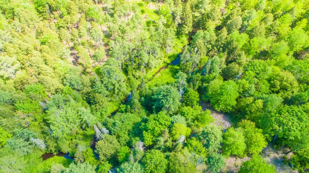 37 Stoney Creek Drive Woolwich ME 04579