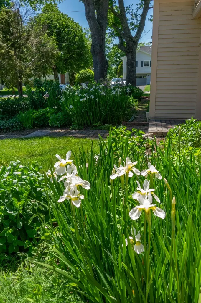 62 Beals Avenue Ellsworth ME 04605