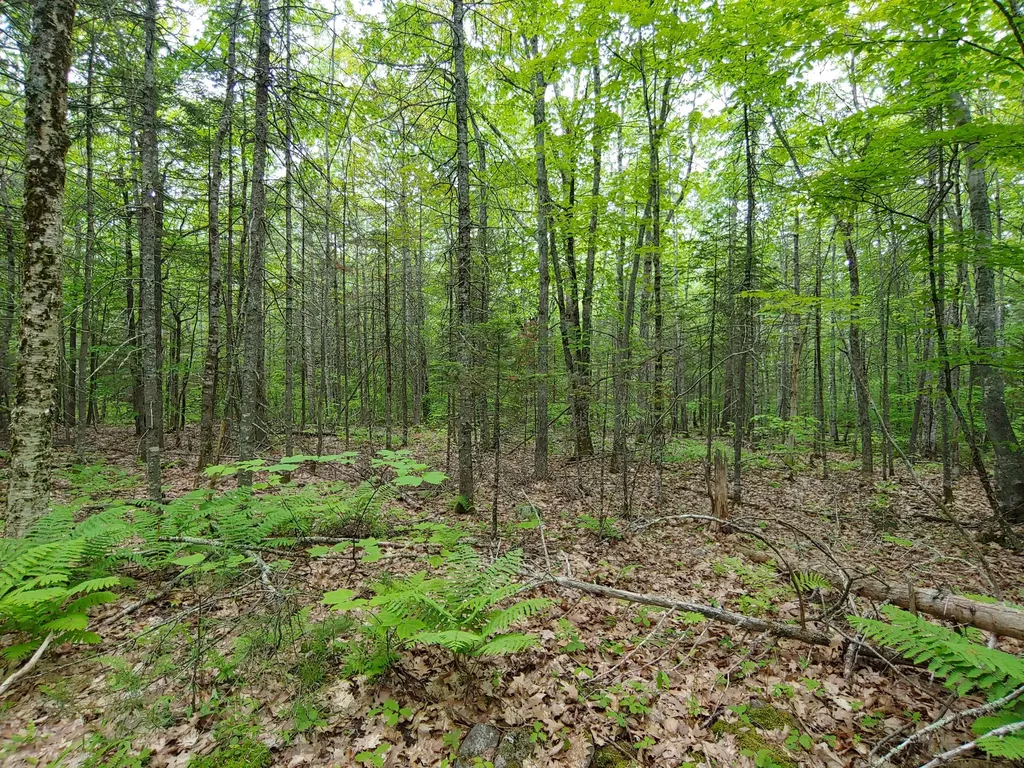 0 Appleton Ridge Road Appleton ME 04862
