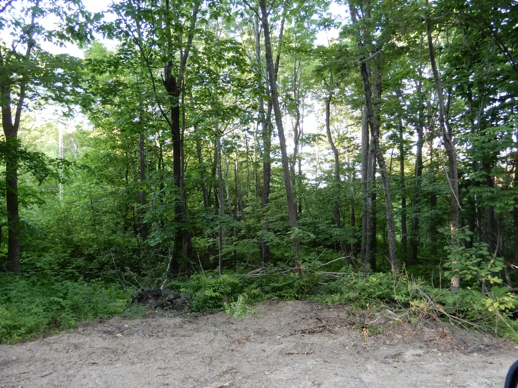 417 Hampshire Street Hiram ME 04041