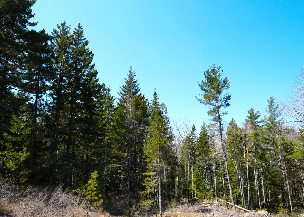 11 Aspen Way Mount Desert ME 04660