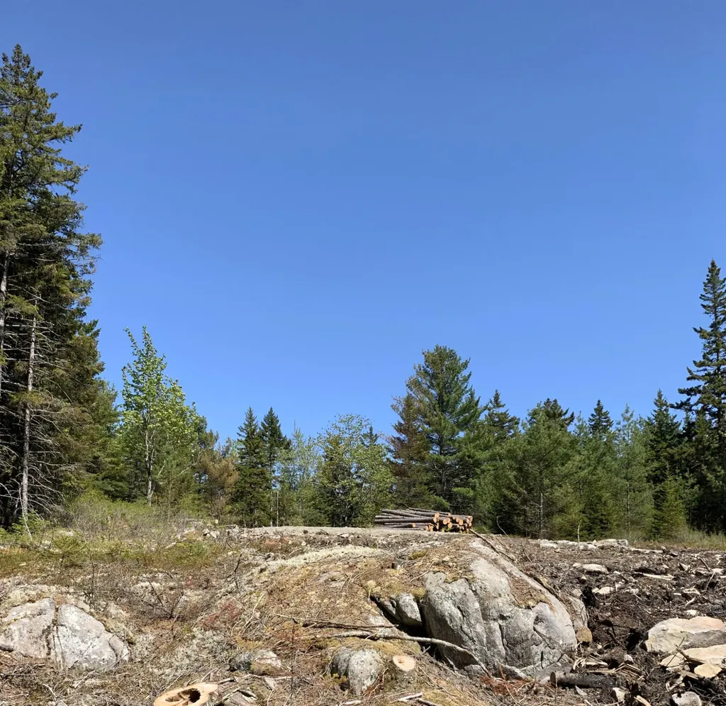 11 Aspen Way Mount Desert ME 04660