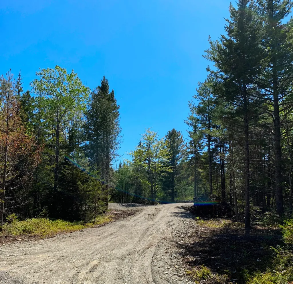 11 Aspen Way Mount Desert ME 04660