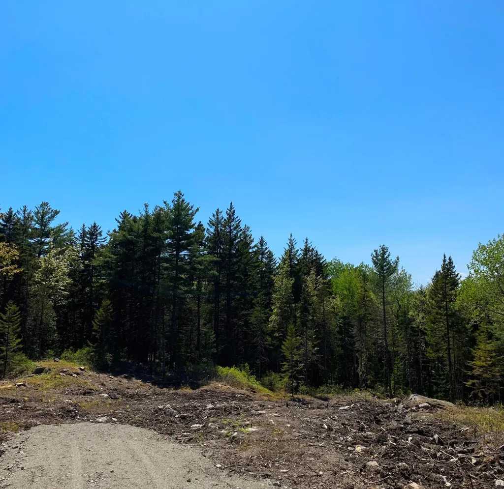 11 Aspen Way Mount Desert ME 04660