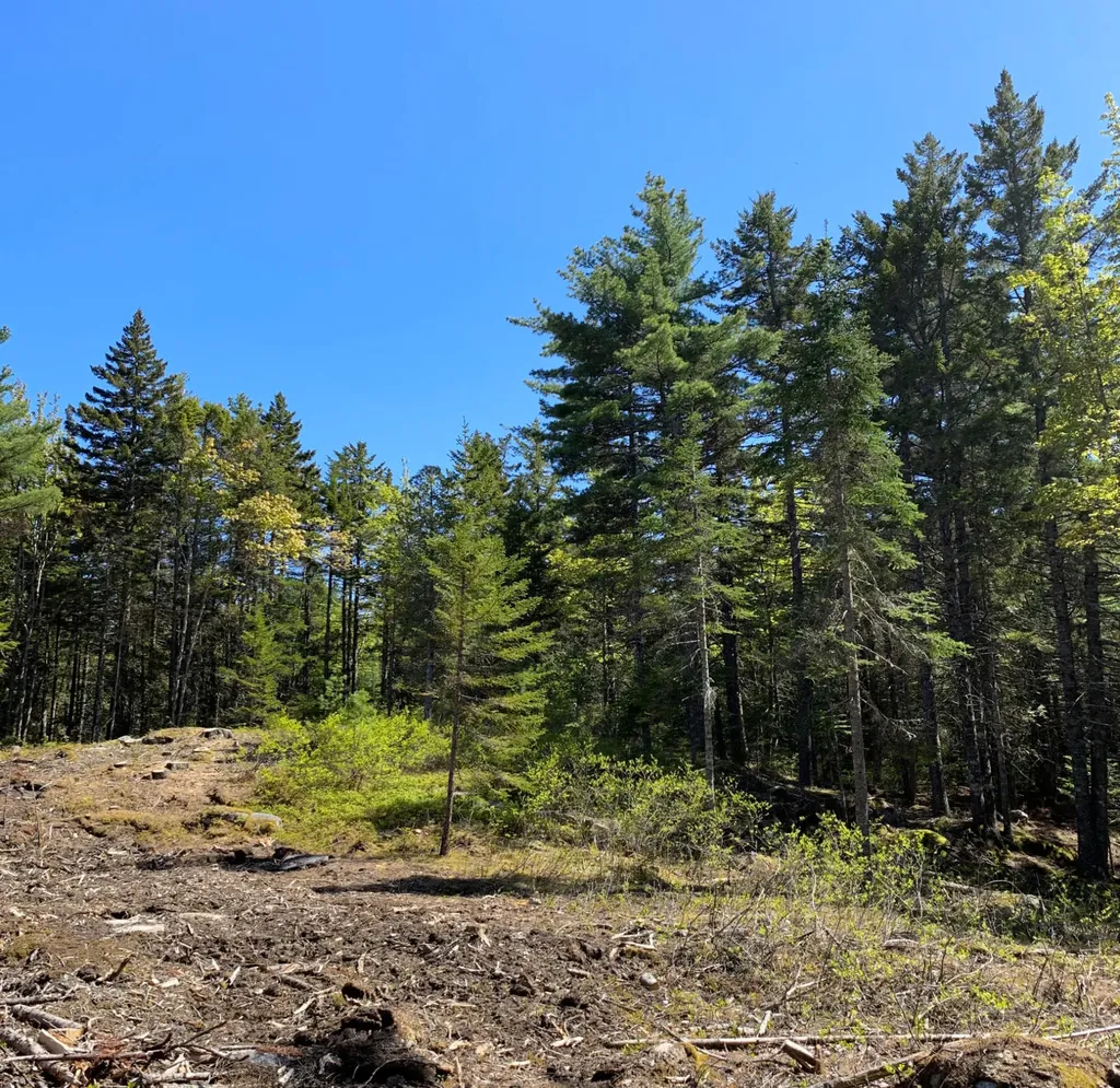 11 Aspen Way Mount Desert ME 04660