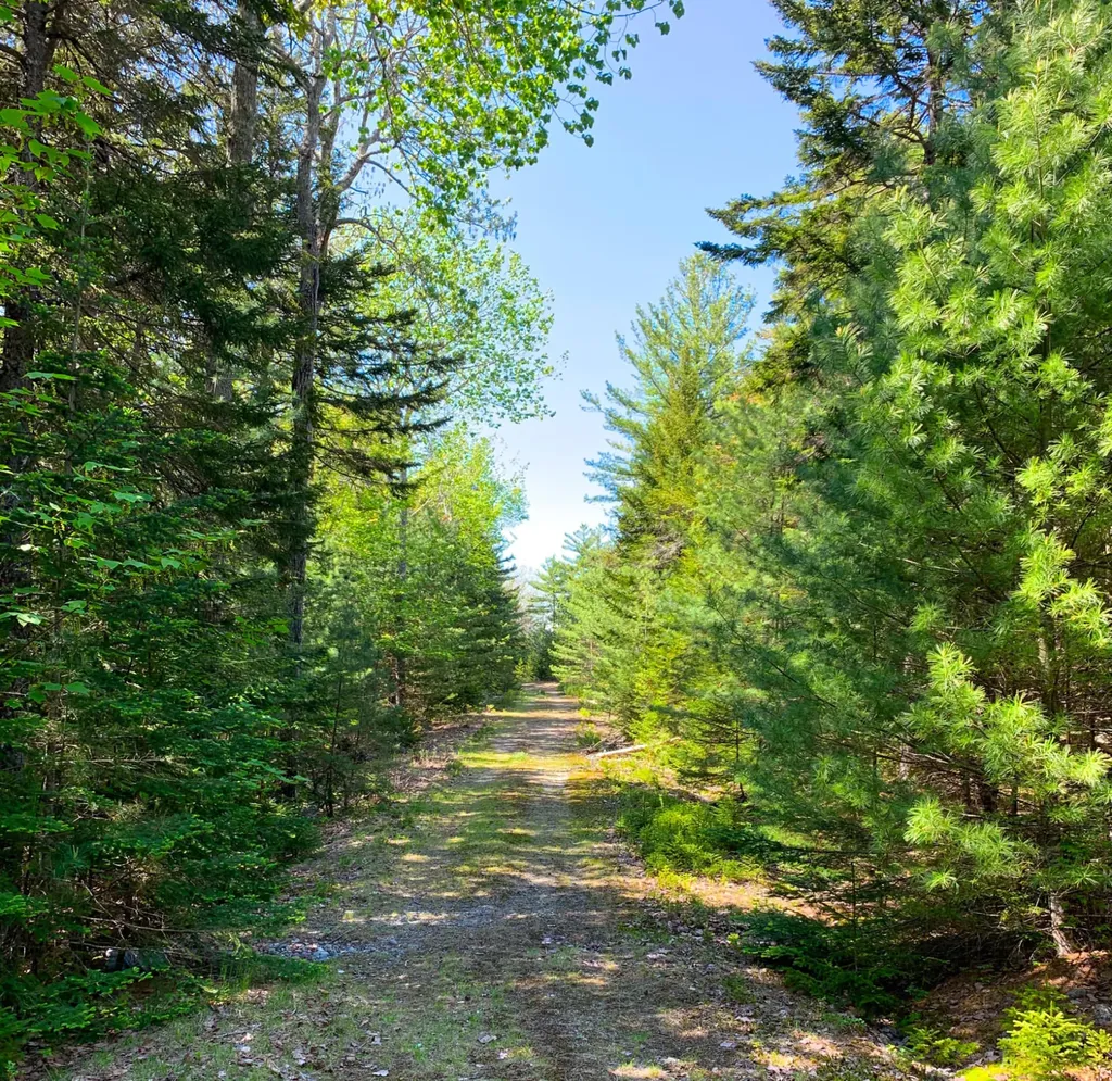 11 Aspen Way Mount Desert ME 04660