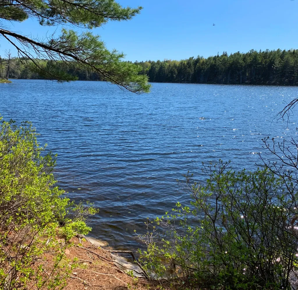 11 Aspen Way Mount Desert ME 04660