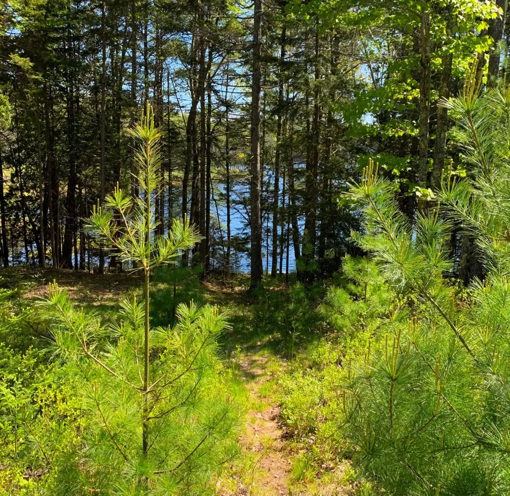 11 Aspen Way Mount Desert ME 04660