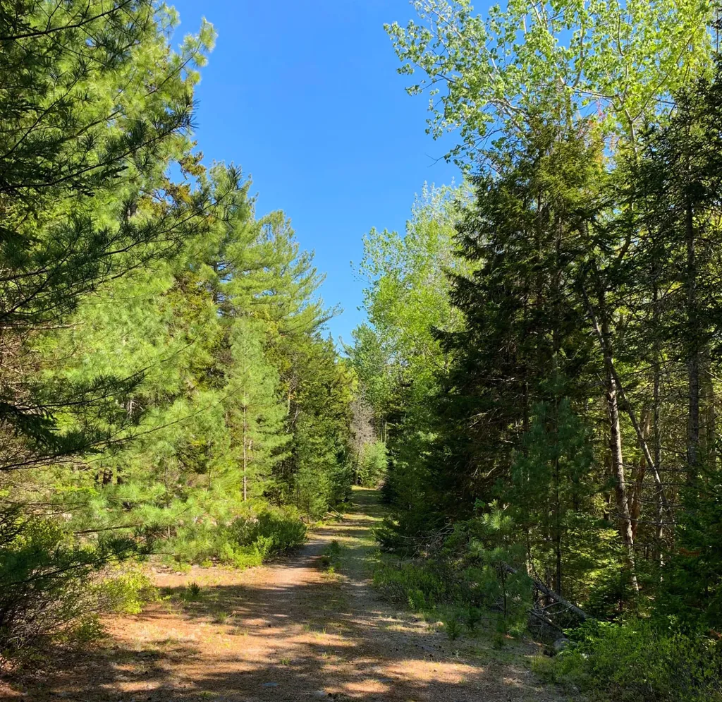 11 Aspen Way Mount Desert ME 04660