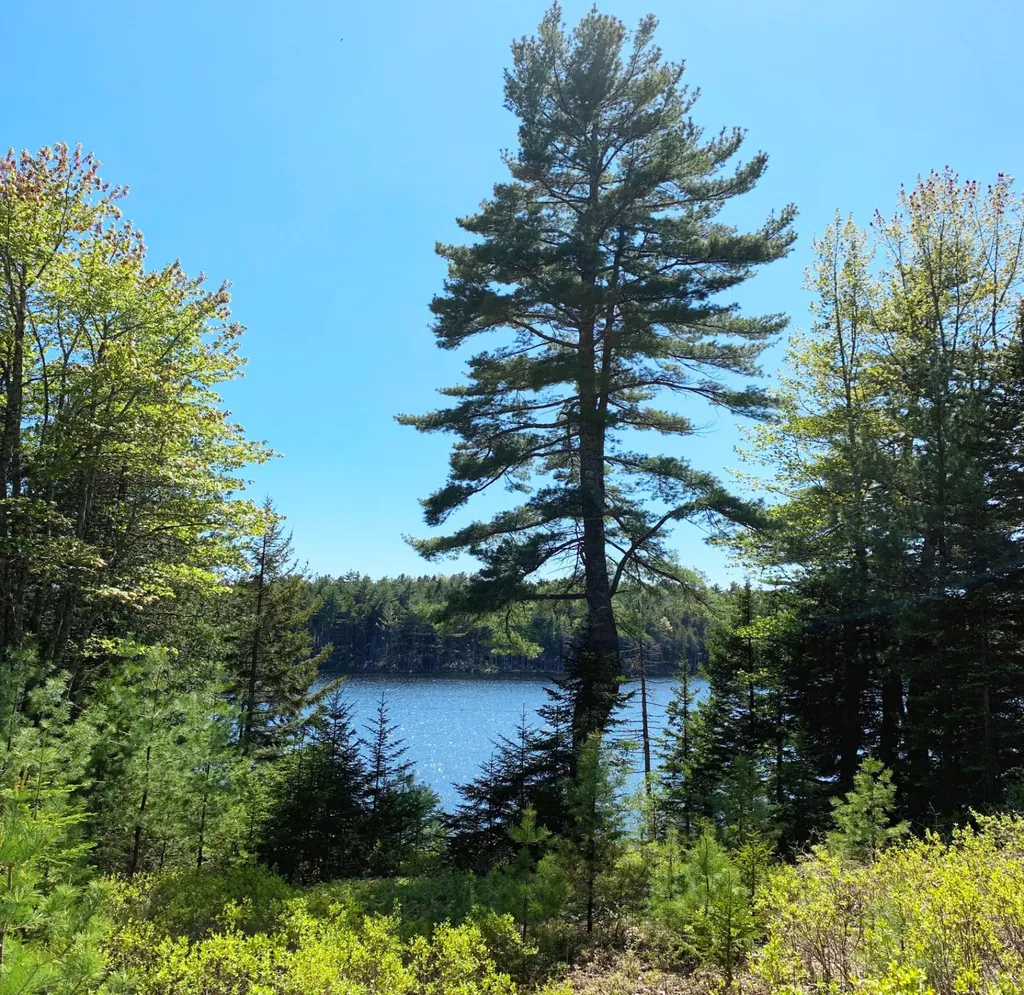 11 Aspen Way Mount Desert ME 04660