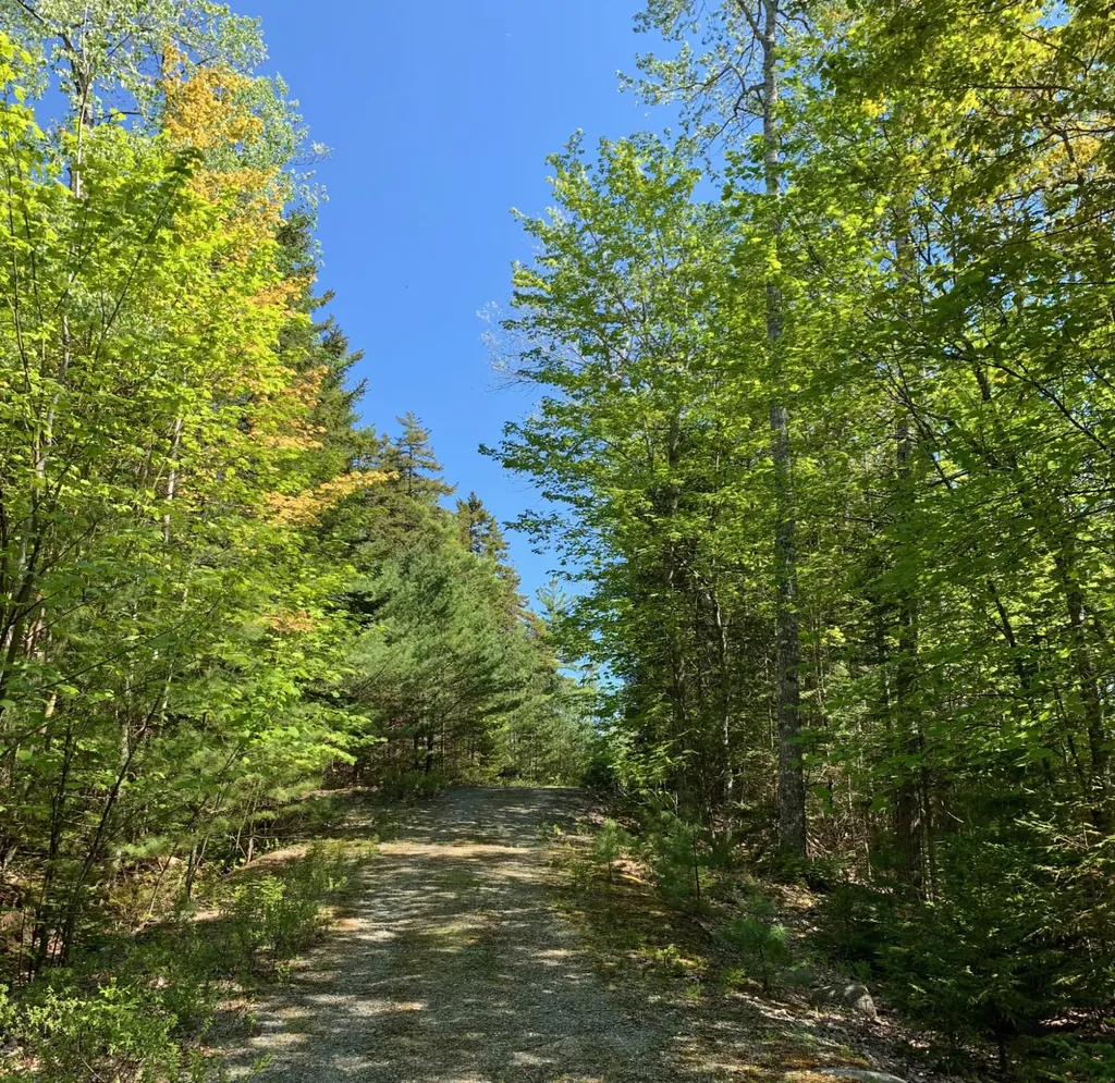 11 Aspen Way Mount Desert ME 04660