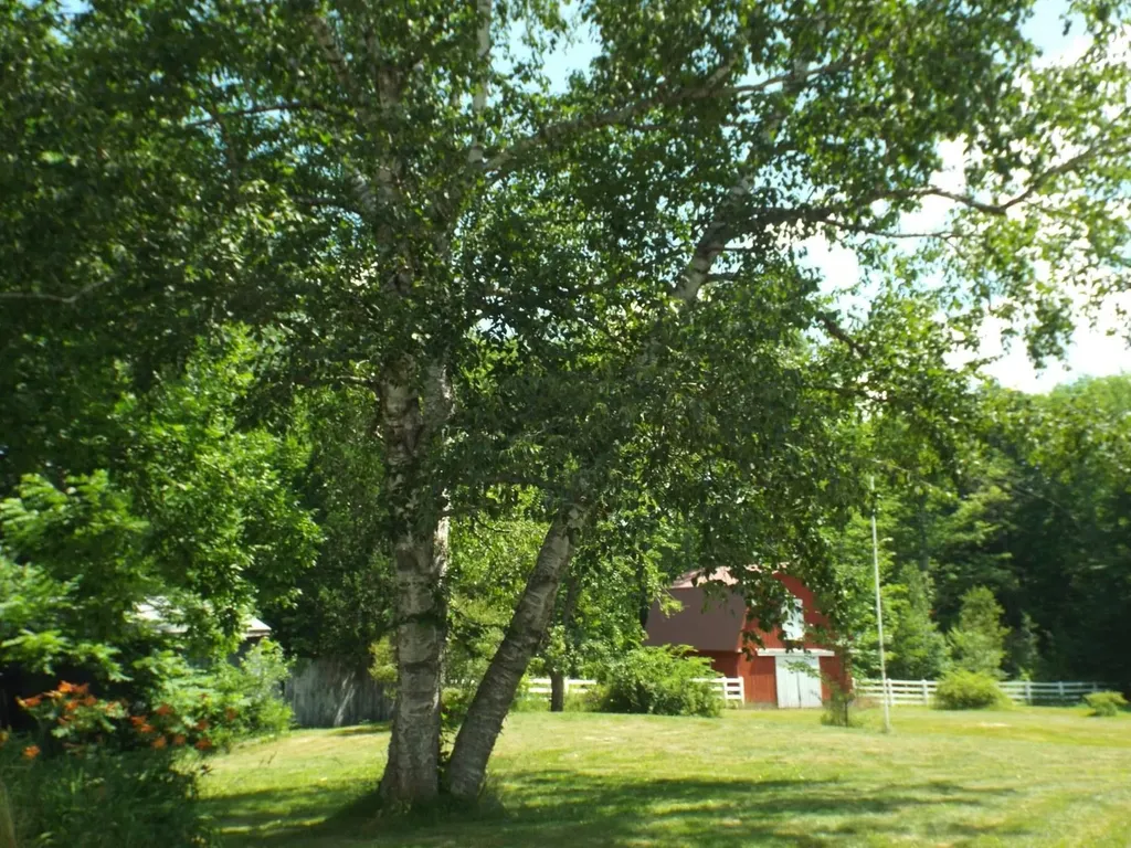 710 N Road Parsonsfield ME 04047