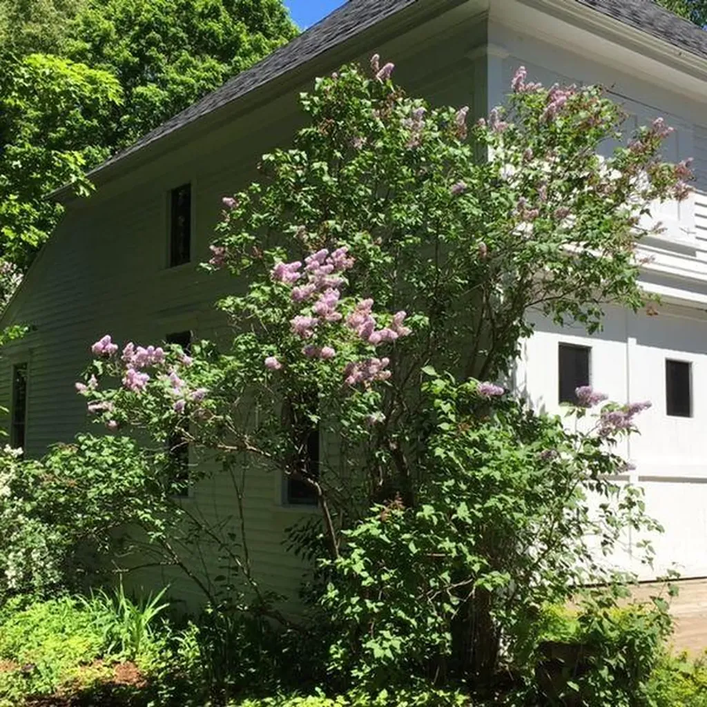 114 Lake Avenue Farmington ME 04938