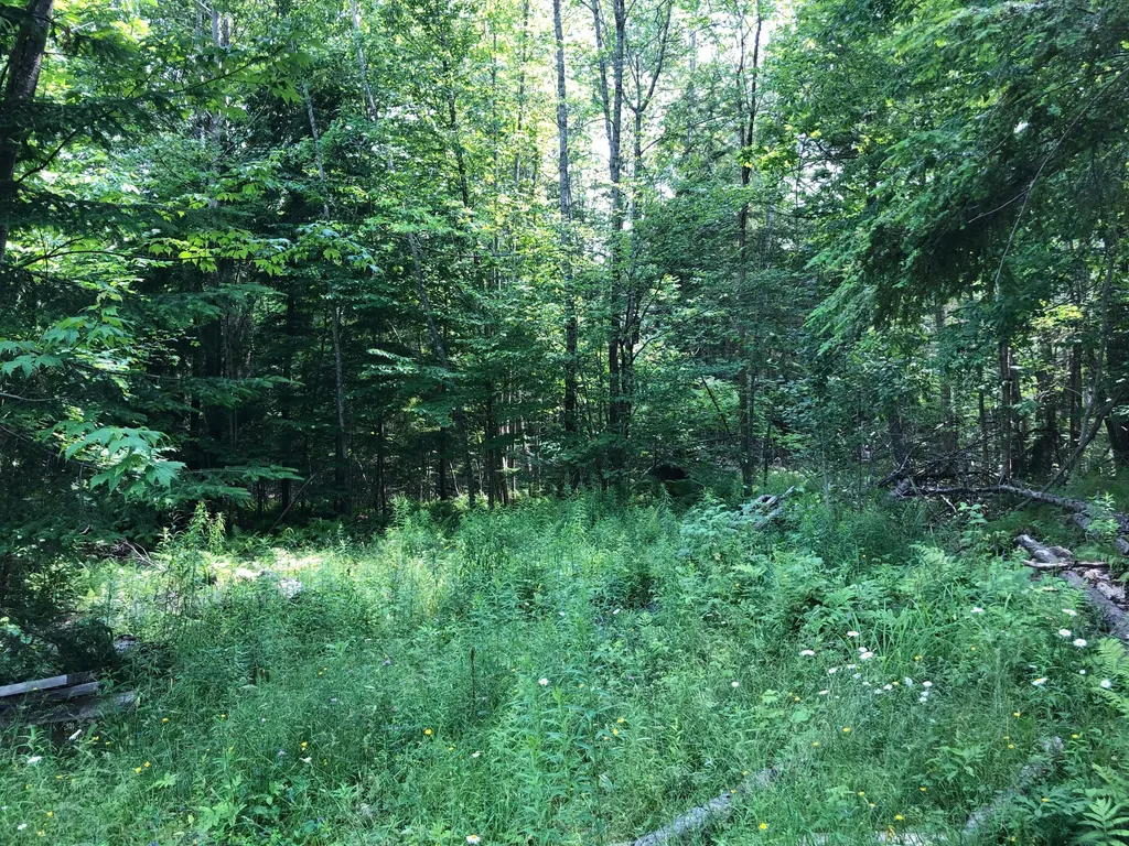 76 Heal Road Lincolnville ME 04849