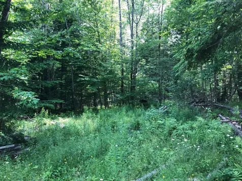 76 Heal Road Lincolnville ME 04849