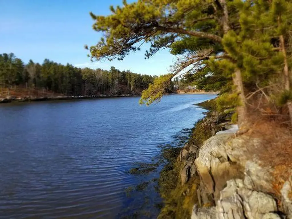 98 Youngs Point Road Wiscasset ME 04578
