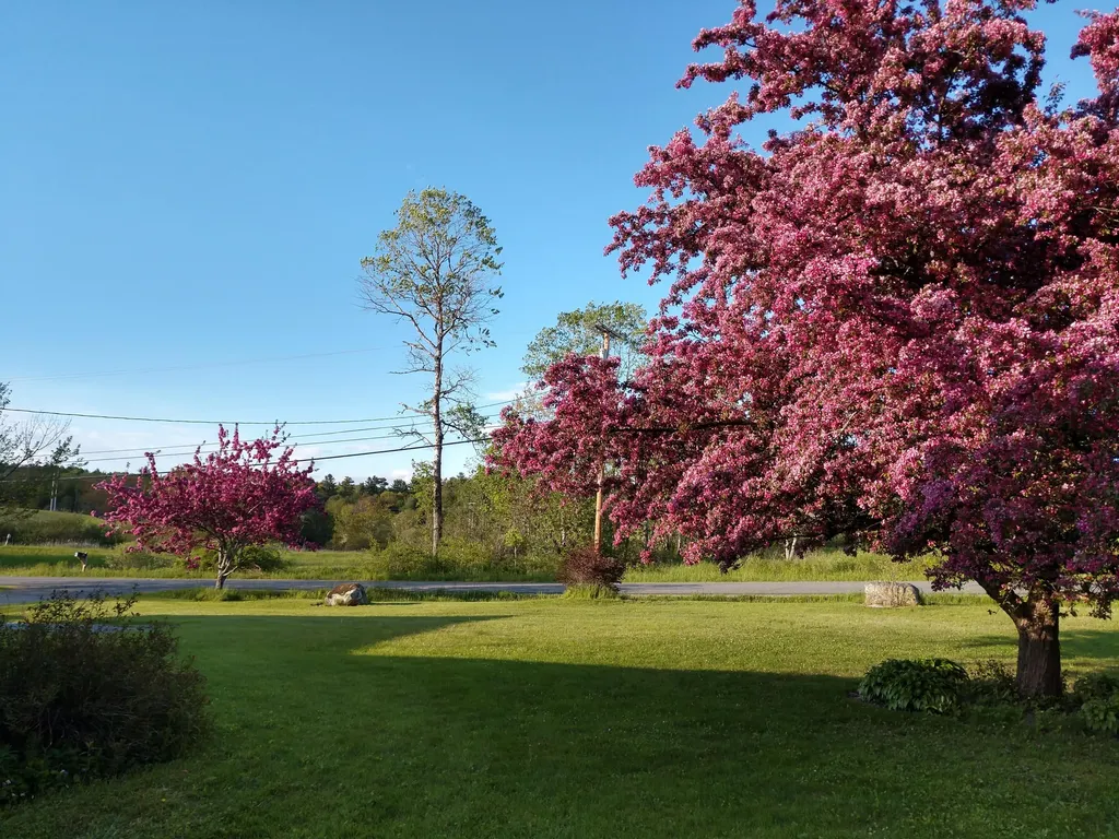 220 Depot Street Waldoboro ME 04572