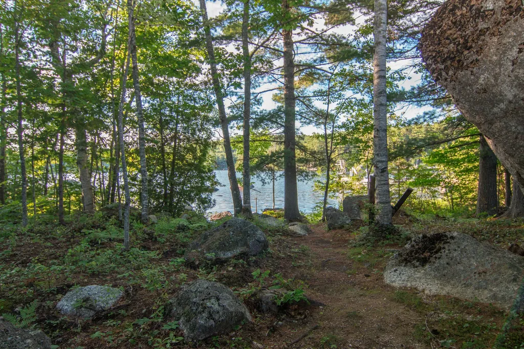 11 Fernwood Road Dedham ME 04429