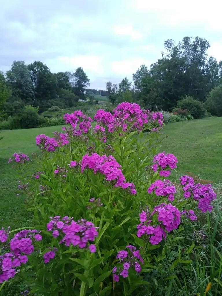 38 Hartland Road Canaan ME 04924