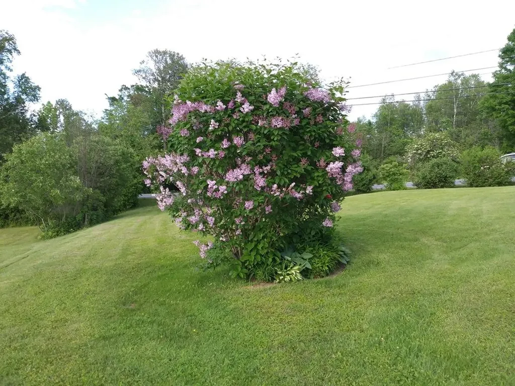 38 Hartland Road Canaan ME 04924