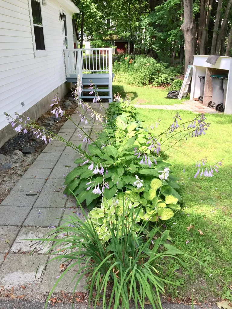 12 Parsons Street Kennebunk ME 04043
