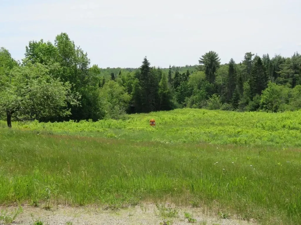 87 Jacob Buck Pond Road Bucksport ME 04416