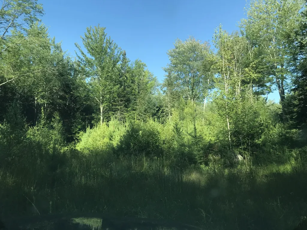 281 Sibley Pond Road Pittsfield ME 04967