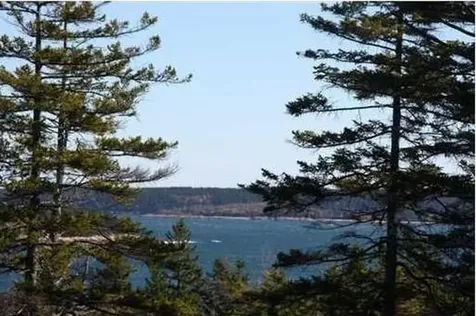 0 Staples Ridge Road Swans Island ME 04685