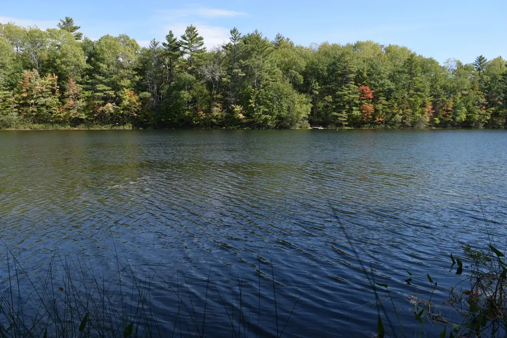 102 Long Pond Drive Denmark ME 04022