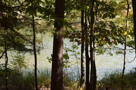 102 Long Pond Drive Denmark ME 04022