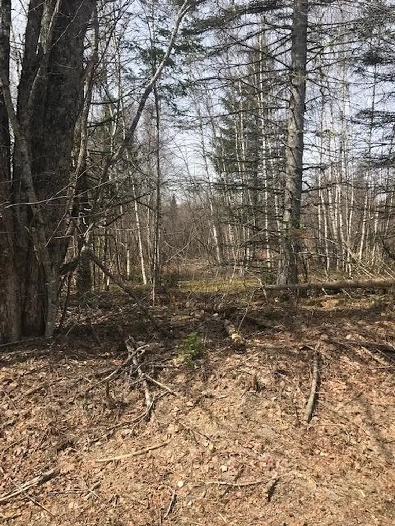 0 Mcarthur Road Alexander ME 04694