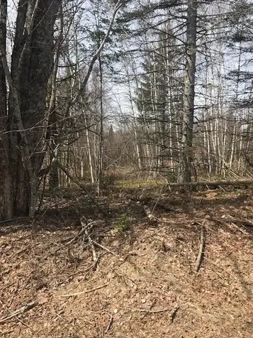 0 Mcarthur Road Alexander ME 04694
