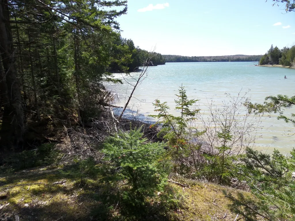 40 Mcconnell Lane Lubec ME 04652