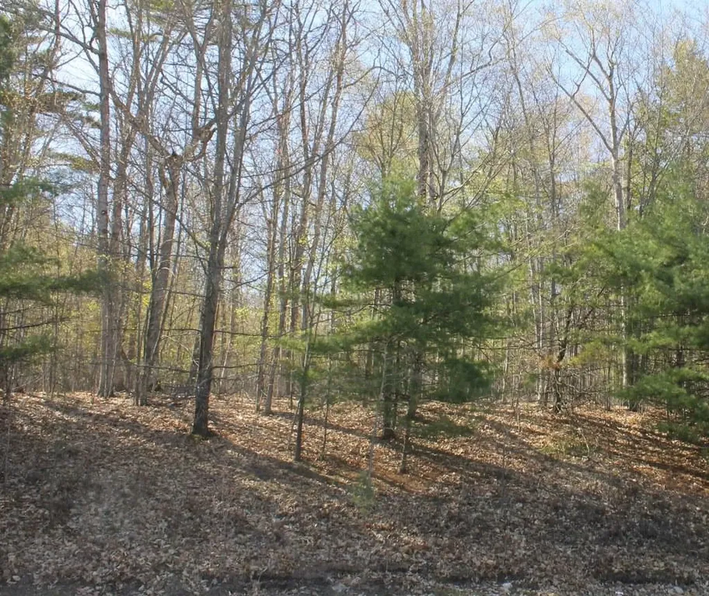 Lot 31-c Meadow Road Casco ME 04015