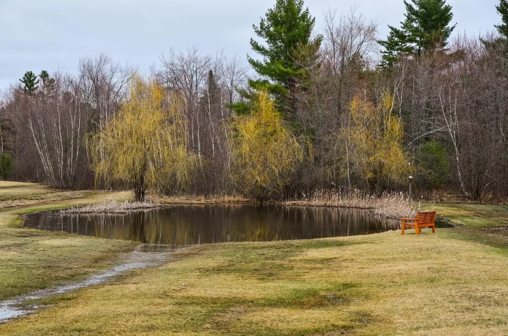 37 Buck Ridge Drive Belgrade ME 04917