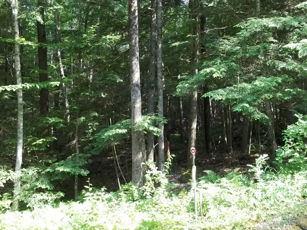 00 Pitcher Road Belfast ME 04915