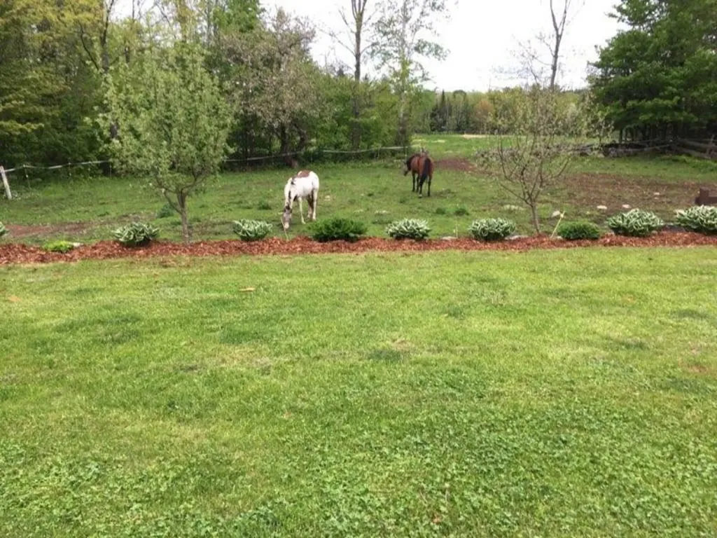 15 Gordon Road New Sharon ME 04955