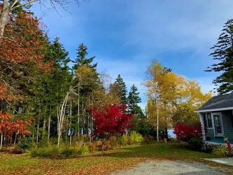 77 Wilson Point Road Castine ME 04421