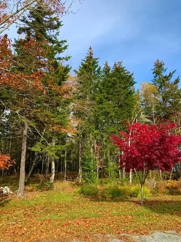 77 Wilson Point Road Castine ME 04421