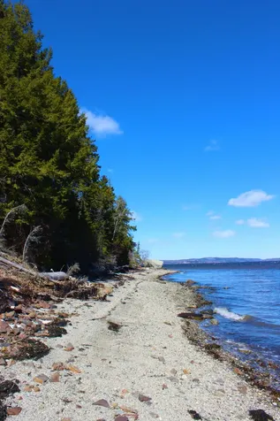 77 Wilson Point Road Castine ME 04421