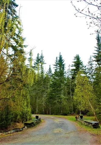 77 Wilson Point Road Castine ME 04421